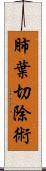 肺葉切除術 Scroll