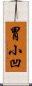 胃小凹 Scroll