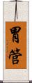 胃管 Scroll