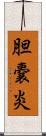 胆嚢炎 Scroll