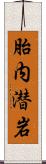 胎内潜岩 Scroll