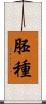 胚種 Scroll