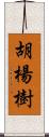 胡楊樹 Scroll