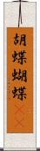 胡蝶 Scroll