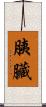 胰臟 Scroll