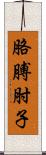 胳膊肘子 Scroll