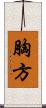 胸方 Scroll