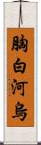 胸白河烏 Scroll