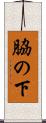脇の下 Scroll