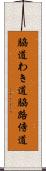 脇道 Scroll