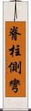 脊柱側彎 Scroll