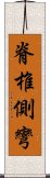 脊椎側彎 Scroll