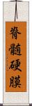 脊髄硬膜 Scroll