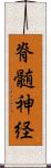 脊髄神経 Scroll