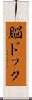 脳ドック Scroll