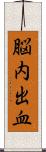 脳内出血 Scroll