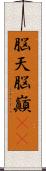 脳天 Scroll