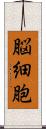 脳細胞 Scroll