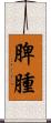 脾腫 Scroll
