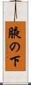 腋の下 Scroll