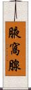 腋窩腺 Scroll