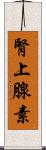 腎上腺素 Scroll