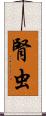 腎虫 Scroll