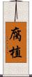 腐植 Scroll