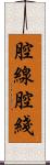 腔線 Scroll