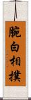 腕白相撲 Scroll