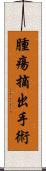 腫瘍摘出手術 Scroll