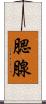 腮腺 Scroll