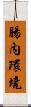 腸内環境 Scroll