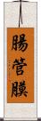 腸管膜 Scroll