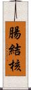 腸結核 Scroll