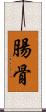 腸骨 Scroll