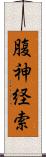 腹神経索 Scroll