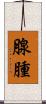 腺腫 Scroll