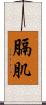 膈肌 Scroll