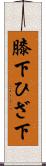 膝下 Scroll