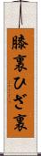 膝裏 Scroll
