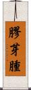 膠芽腫 Scroll
