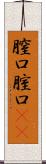 膣口 Scroll