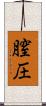 膣圧 Scroll