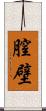 膣壁 Scroll