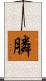 膦 Scroll