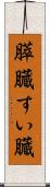 膵臓 Scroll