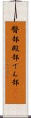 臀部 Scroll