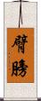 臂膀 Scroll
