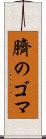 臍のゴマ Scroll
